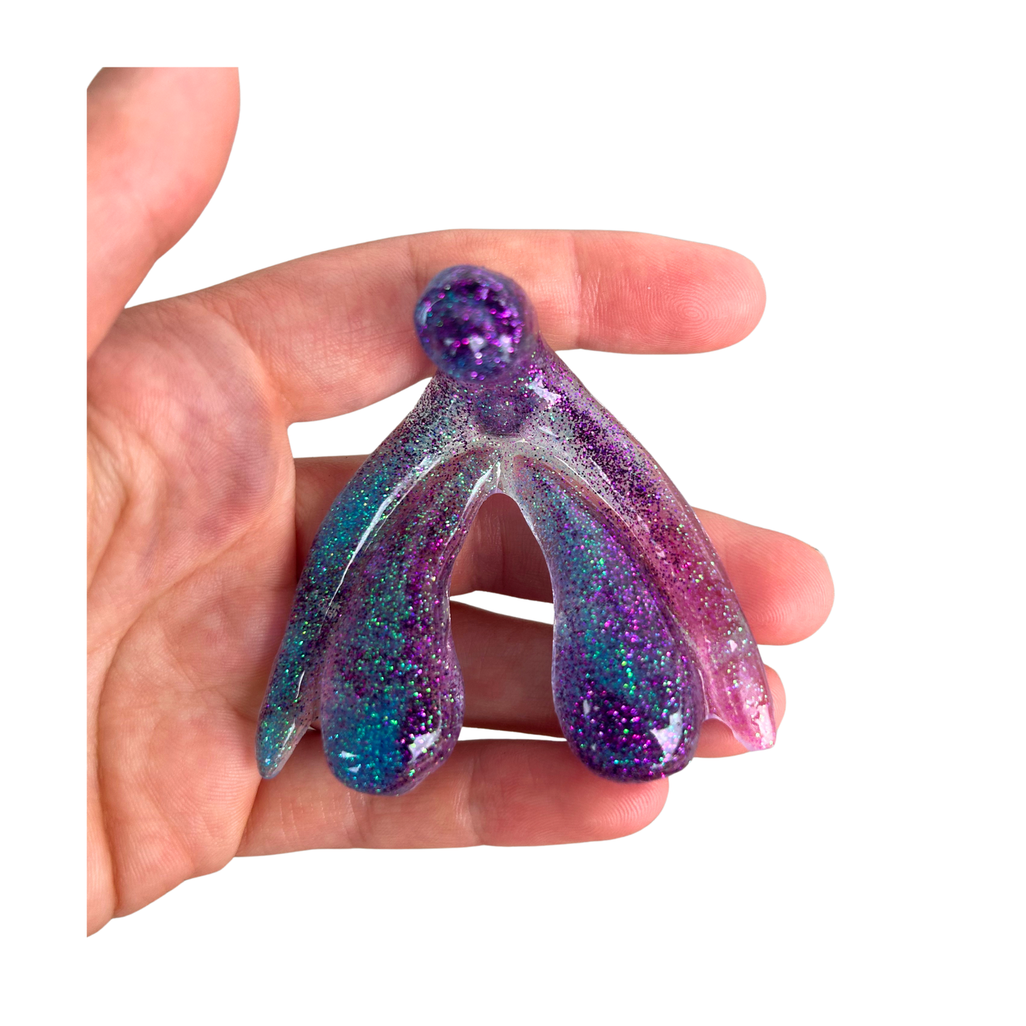 The Glitoris SPECIAL EDITIONS